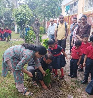 plantation