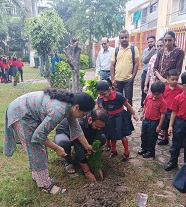 plantation
